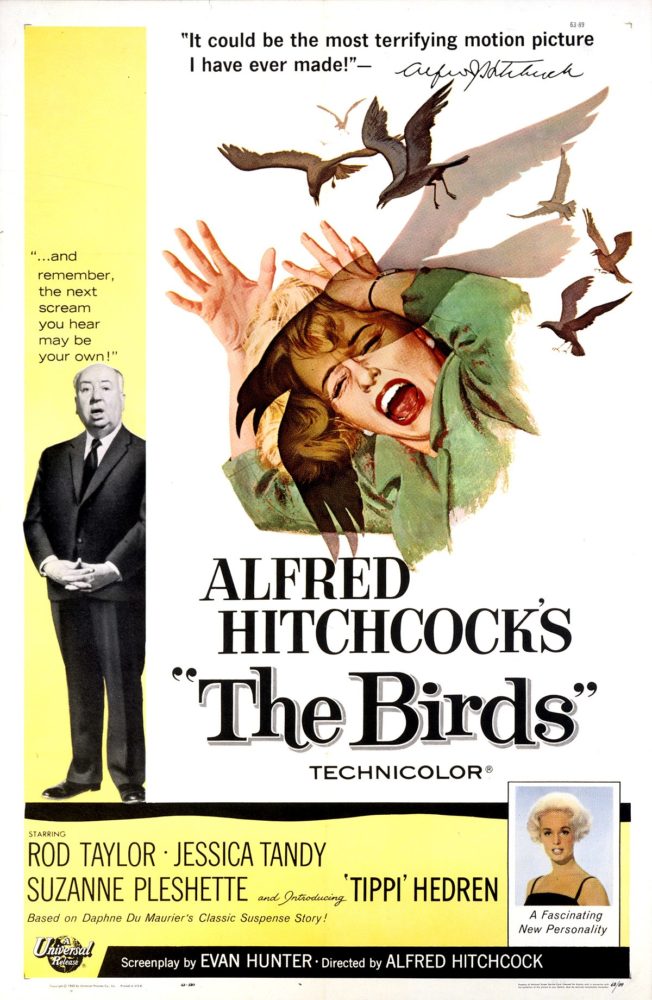theatrical poster for the birds